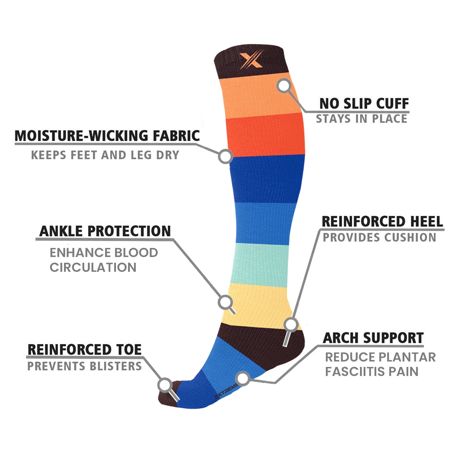 Novelty Collection Socks (6-Pairs)