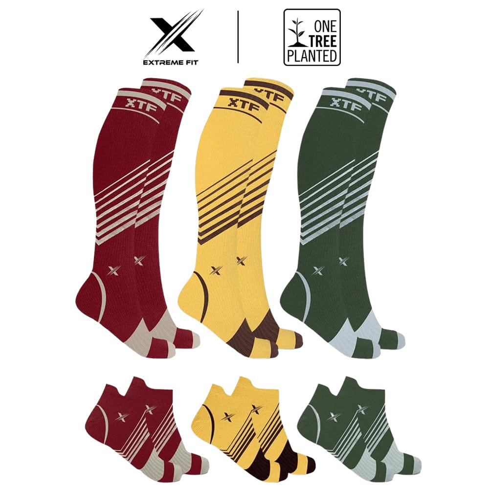 Fall Inspired Knee-high Socks (6-Pack Assorted)